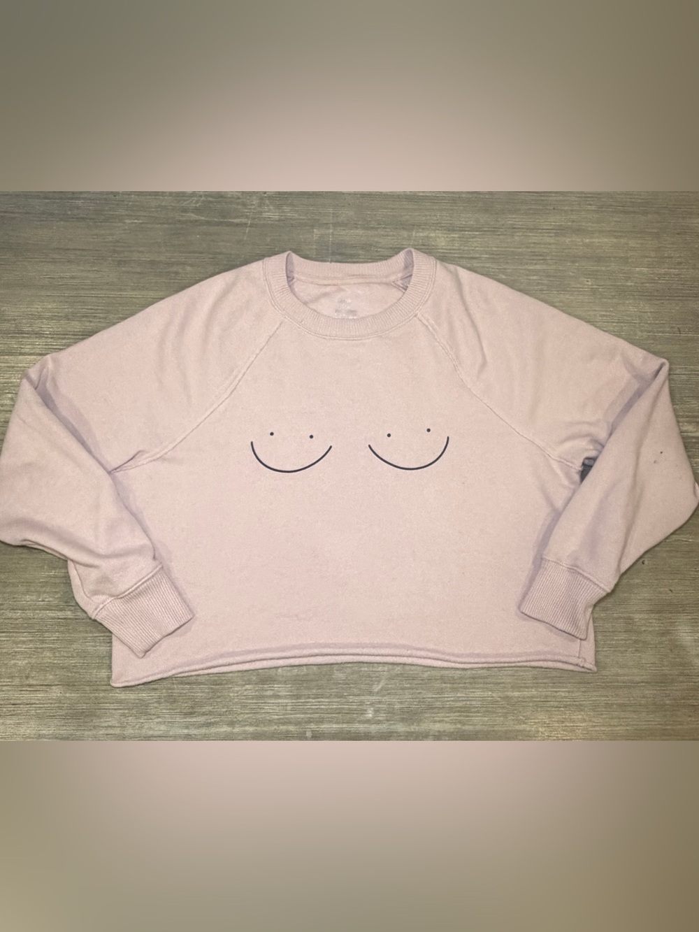 Aerie Women’s Blush Crewneck Graphic Cropped Sweatshirt